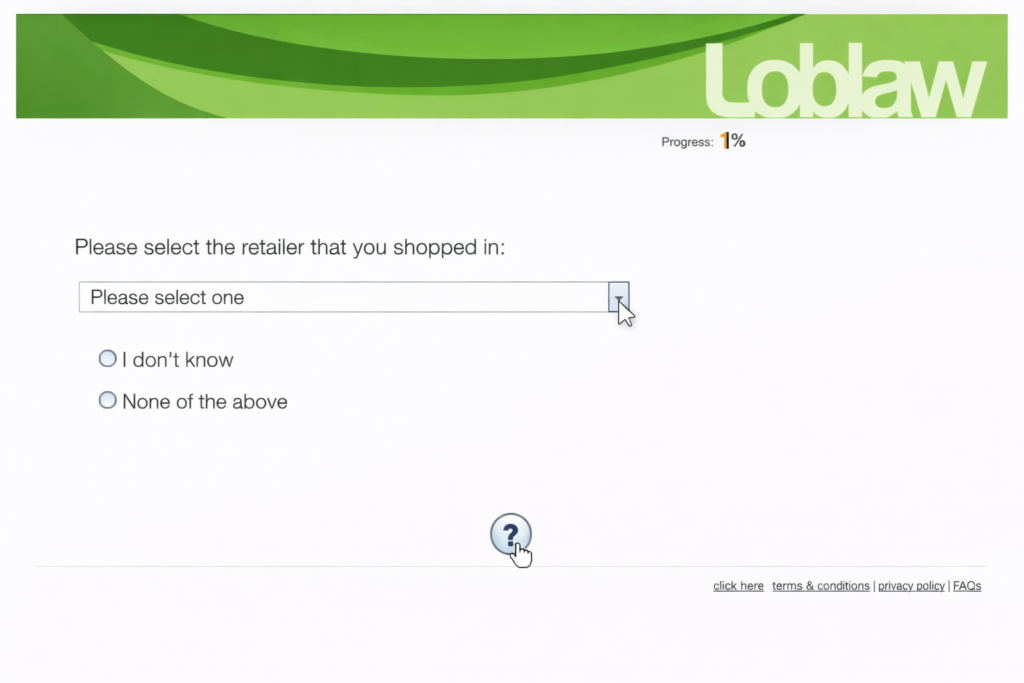Survey Screenshot 8