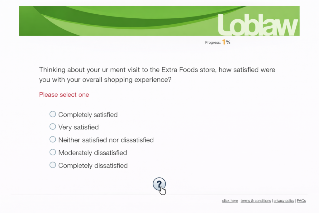 Survey Screenshot 9